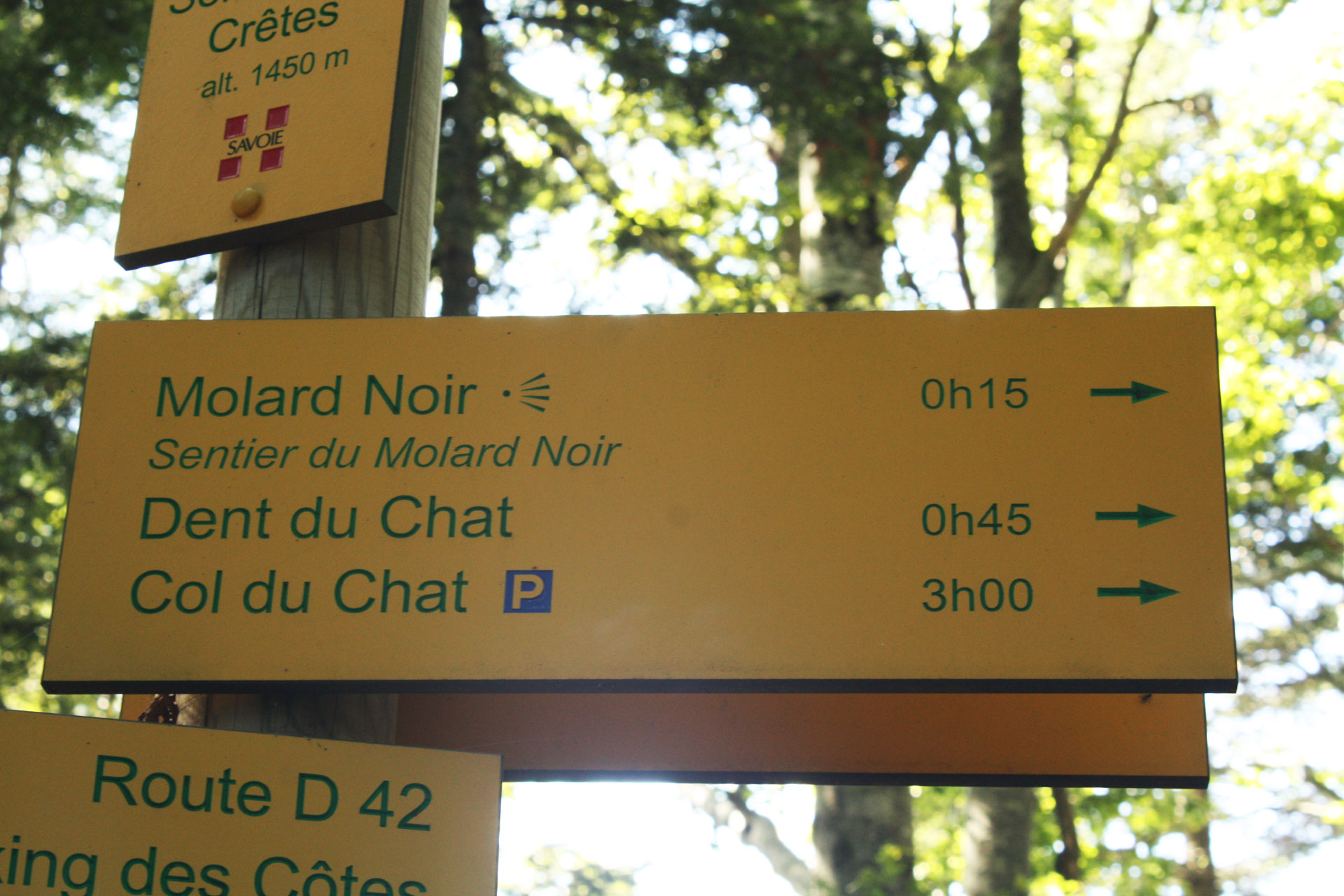 La Randonnée, une aventure au cœur de la nature