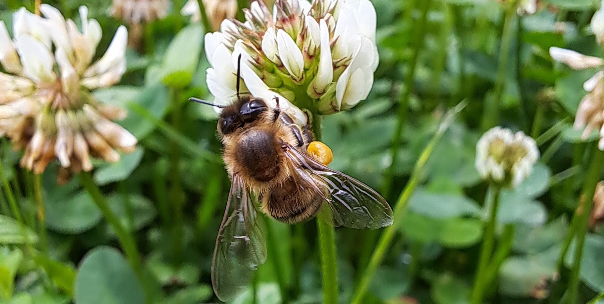 Seelo, le début d&rsquo;une aventure digitale